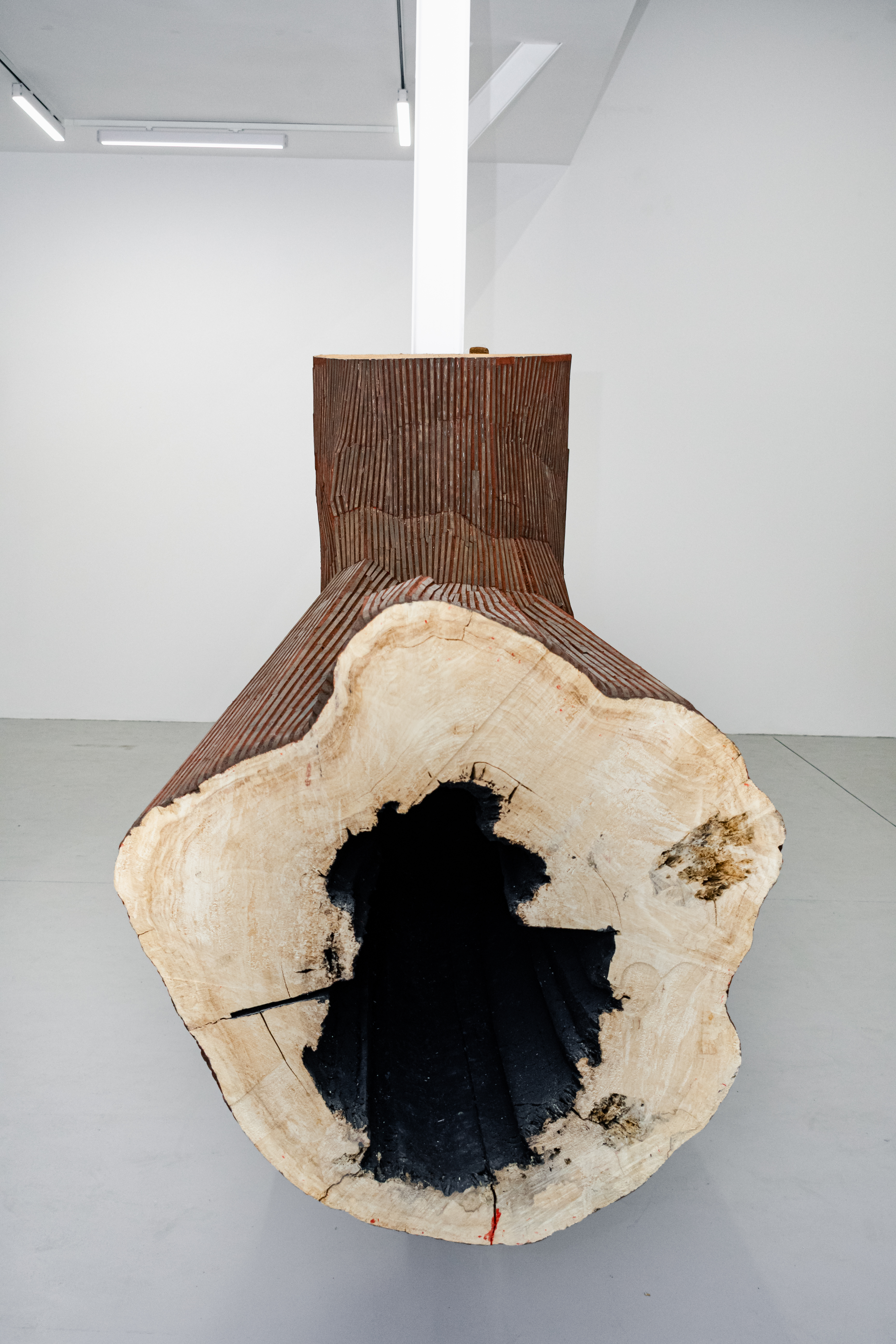 Mircea Roman, Trofeu Găunos, 2024, Wood, 66 1/10 × 108 3/10 × 40 3/5 in | 168 × 275 × 103 cm